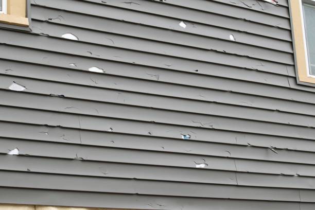 Best Composite Siding  in Bridge City, TX