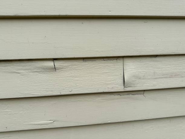 Best Fiber Cement Siding Installation  in Bridge City, TX